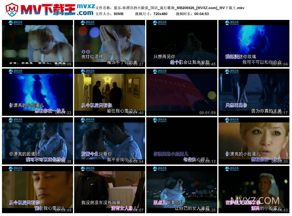 蓝乐-你漂亮的小脸蛋_国语_流行歌曲_MB206926